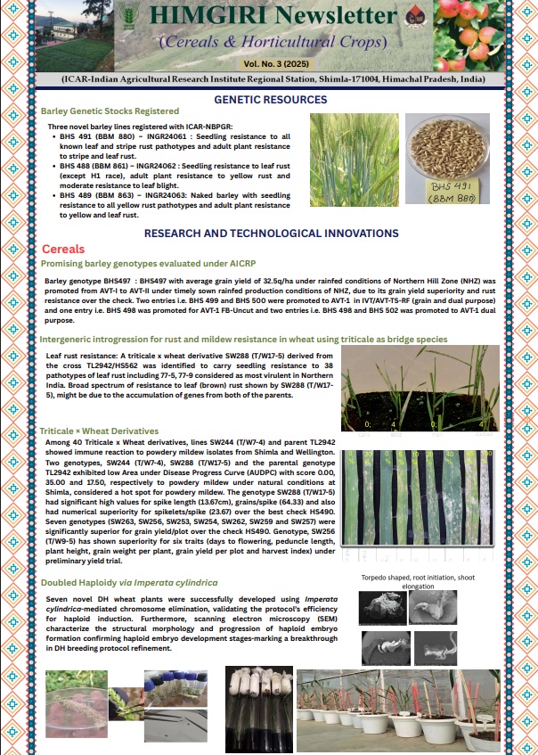 Publication 5