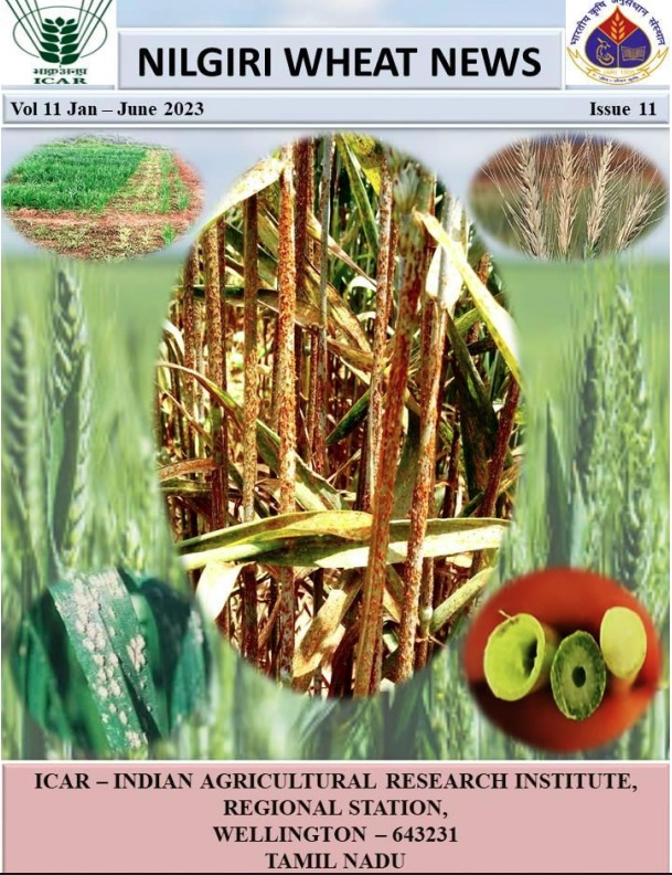 Publication 5