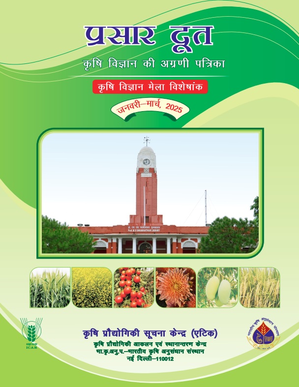 Publication 5