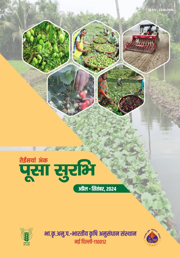 Publication 5